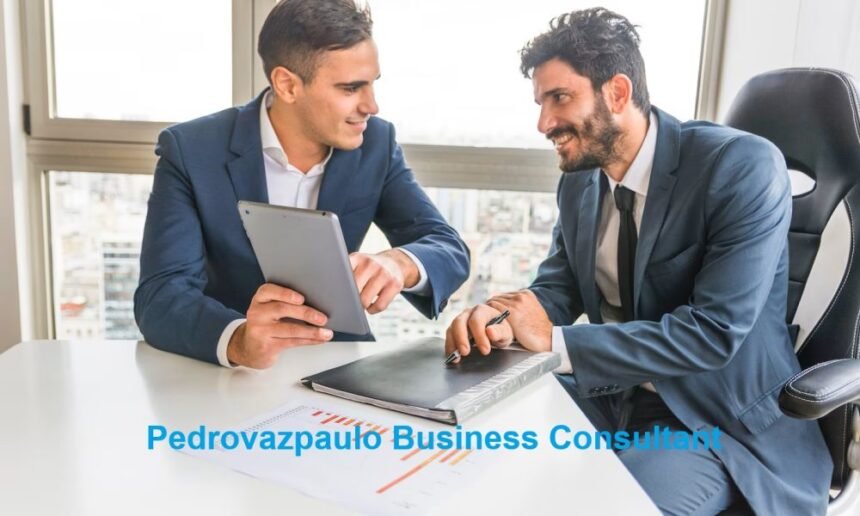 Pedrovazpaulo Business Consultant